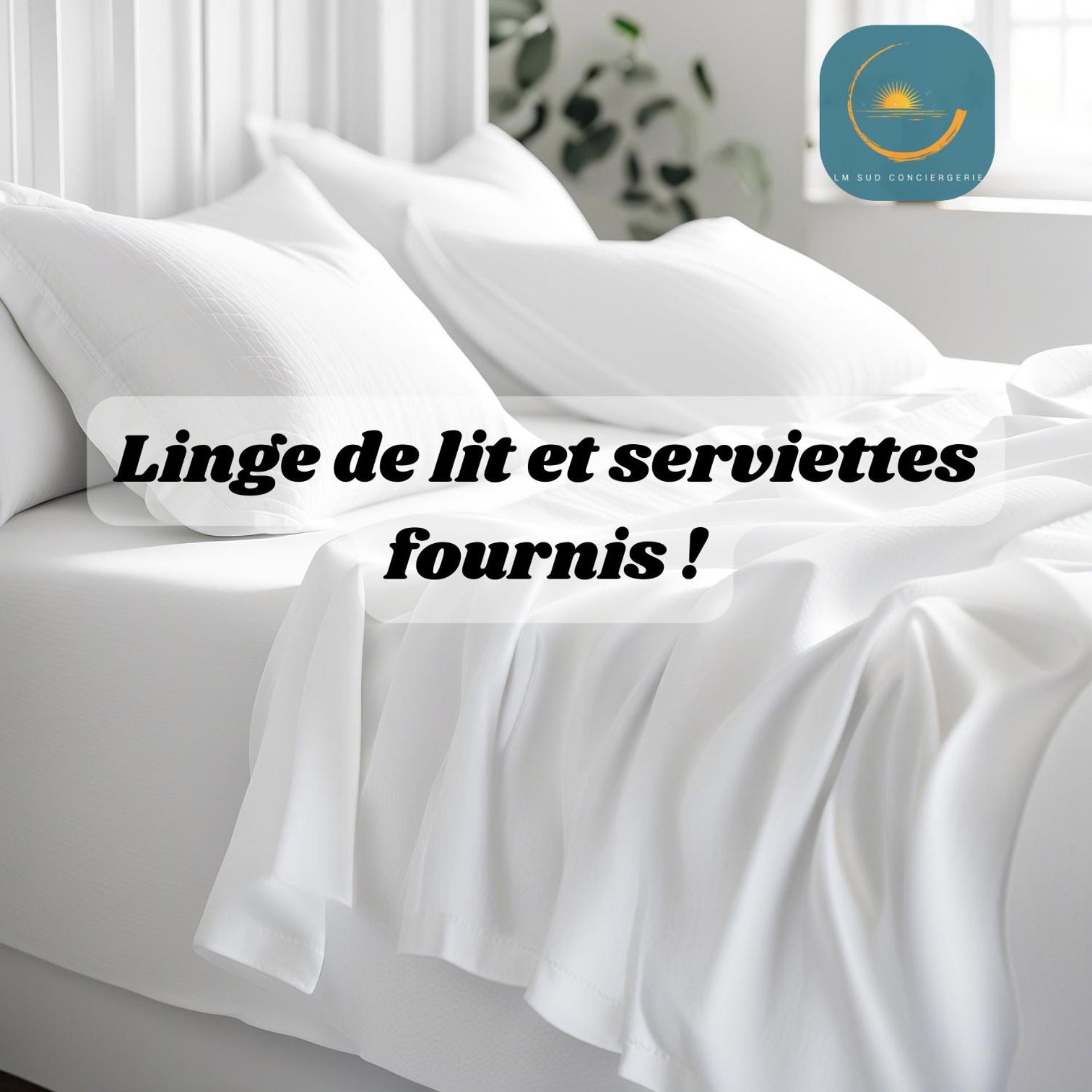 Apartment * F3 Haussmannien, Centre-ville, 4 Pers, Wifi * Montpellier
